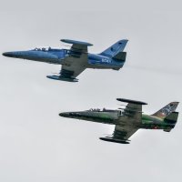 Dva letouny Aero L-159 ALCA armády ČR, Mošnov (18.9.2021) – cstigatio / Shutterstock