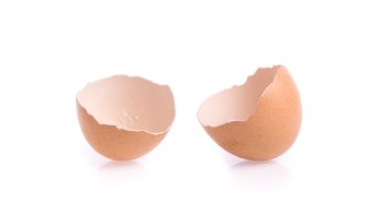 Rozbitá prázdná skořápka slepičího vejce – Yellow Cat / Shutterstock