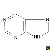 Purin, strukturní 2D vzorec – CoJeCo.cz (CC BY-SA 4.0)