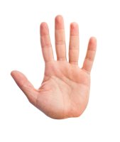 Dlaň levé ruky – Kues / Shutterstock