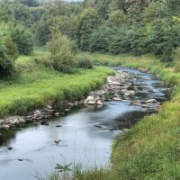 Lubina – Realmo Muronhi / Shutterstock