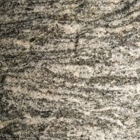 Pararula – Lapis2380 / Shutterstock