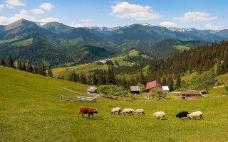 Karpaty, Ukrajina – Kuzmenko Viktoria photographer / Shutterstock