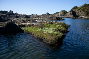 Sado – Lecker Studio / Shutterstock