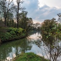 Olše – jansirina / Shutterstock