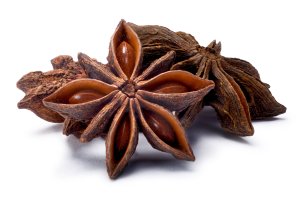 Souplodí měchýřků badyánu (Illicium verum) – Hortimages / Shutterstock