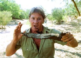 Steve Irwin (2002) – Everett Collection / MGM  / Profimedia.CZ