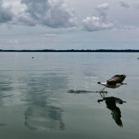 Miedwie jezero – swk68 / Shutterstock