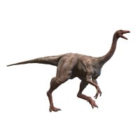 Struthiomimus (3D rekonstrukce) – Herschel Hoffmeyer / Shutterstock