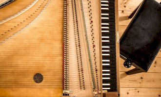 Cembalo, pohled shora – TellMeATale / Shutterstock