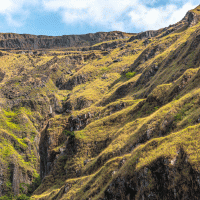 Nimba – mbrand85 / Shutterstock