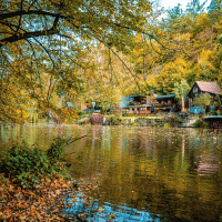 Řeka Opava – Foto Franek / Shutterstock