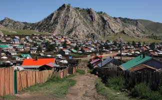 Cecerleg – SHEE HENG CHONG / Shutterstock