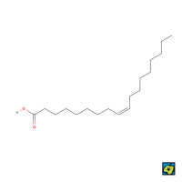 Kyselina olejová, strukturní 2D vzorec – nejvýznamnější omega-9 mastná kyselina s jedinou dvojnou vazbou, umístěnou na devátém uhlíku od methylového konce. – CoJeCo.cz (CC BY-SA 4.0)