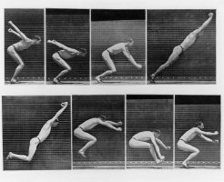 Kinogram: „Some phases of a standing longjump“ (fáze skoku z místa), 1887, fotografická reprodukce z knihy E. Muybridge: The Human Figure in Motion. An Electrophotographic Investigation (Lidská postava v pohybu. Elektrofotografický výzkum), 3. vydání, Londýn (Chapman & Hall) 1907, s. 203 – Profimedia.CZ