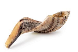 Šofar – Olga Mukashev / Shutterstock