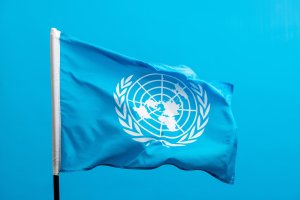 Vlajka OSN – hxdbzxy / Shutterstock
