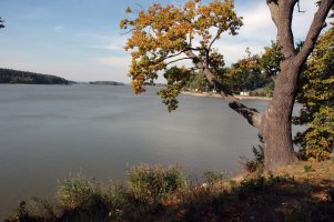 Bezdrev – Profimedia.CZ