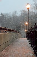 Sněžení – Aaron Wilson / Unsplash