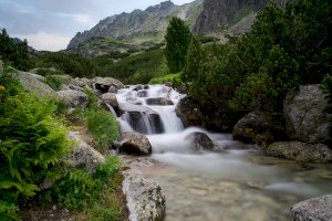 Řeka Mlynica – Rastislav Stur / Shutterstock