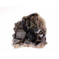 Augit – Branko Jovanovic / Shutterstock