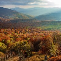 Východní Karpaty – Cavan-Images / Shutterstock