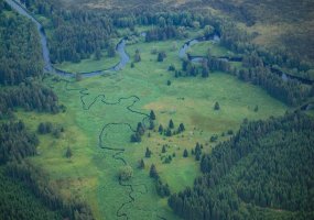 Mrtvý luh, letecký záběr (23.6.2006) – © Jaromír Kříž