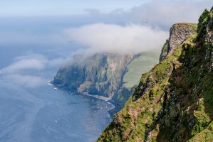 Pribilovovy ostrovy – Nick Pecker / Shutterstock