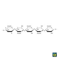 Celulosa, 2D strukturní vzorec – CoJeCo.cz (CC BY-SA 4.0)
