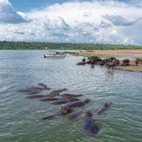 Edvardovo jezero – Arnold Mugasha / Shutterstock