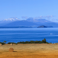 Jezero Taupō – N.Minton / Shutterstock