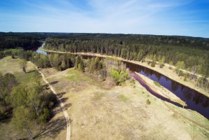 Řeka Gauja, národní park Gauja, Lotyšsko – Janis Smits / Shutterstock