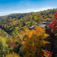 Cumberland Plateau – Zack Frank / Shutterstock