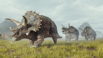 Triceratopsové, vyhynulí dinosauři z podřádu Ceratopsia – Alberto Andrei Rosu / Shutterstock
