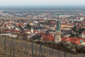 Gumpoldskirchen – Stefan 80 / Shutterstock