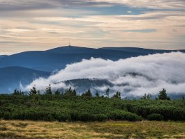 Hrubý Jeseník – Serghei Vlasenco / Shutterstock