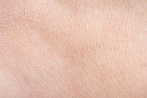 Detail a textura lidské kůže – Peter Kotoff / Shutterstock