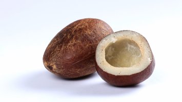 Sušené jádro kokosového ořechu neboli kopra – Shivani Hansraj Dhargave / Shutterstock