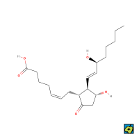 Prostaglandin E₂, strukturní 2D vzorec – typický eikosanoid odvozený od kyseliny arachidonové, patřící mezi prostaglandiny. Významný mediátor zánětlivých reakcí, horečky a bolesti. – CoJeCo.cz (CC BY-SA 4.0)