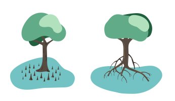 Dýchací kořeny – Annet_ka / Shutterstock