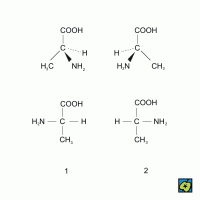 Enantiomerie: (1) L-alanin, (2) D-alanin – CoJeCo.cz (CC BY-SA 4.0)