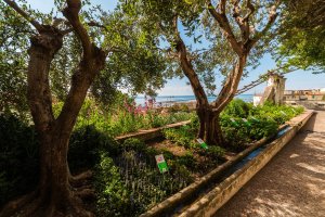 Botanická zahrada Minerva, Salerno, Itálie – gab90 / Shutterstock