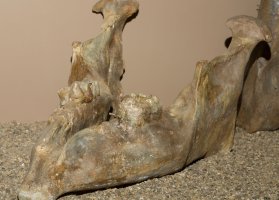 Fosilní nález dolní čelisti chobotnatce Zygolophodon borsoni – Piotr Velixar / Shutterstock