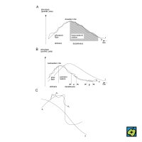 Aktivační dynamika, potravní reakce pokusného zvířete: A při dosažení cíle; B při nedosažení cíle; C superpozice oscilací dílčích aktivit – CoJeCo.cz (CC BY-SA 4.0)