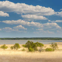 Jezero Lebsko – NOWAK LUKASZ / Shutterstock