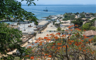 Pemba – Rich T Photo / Shutterstock