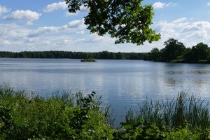 Rybník Rožmberk – vitaj / Shutterstock