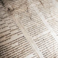 Tóra, detail tisku v hebrejštině – Tanner Mardis / Unsplash