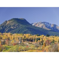 Pietrosul – CristiDumi / Shutterstock