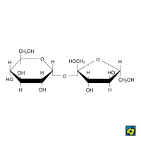 Sacharosa, strukturní 2D vzorec – CoJeCo.cz (CC BY-SA 4.0)
